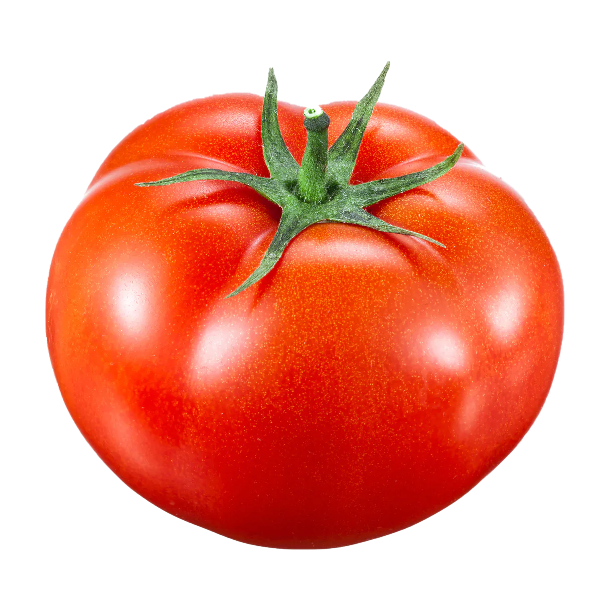 Tomato Beefsteak (Large, 5 x 6), ~11kg