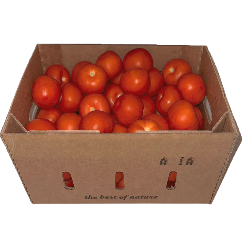 Tomato Beefsteak (Medium, 6 x 6), ~25lb/11kg