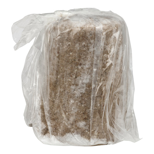 Olympia Gyro Cone Halal Raw 4.54kg - 4 Cone