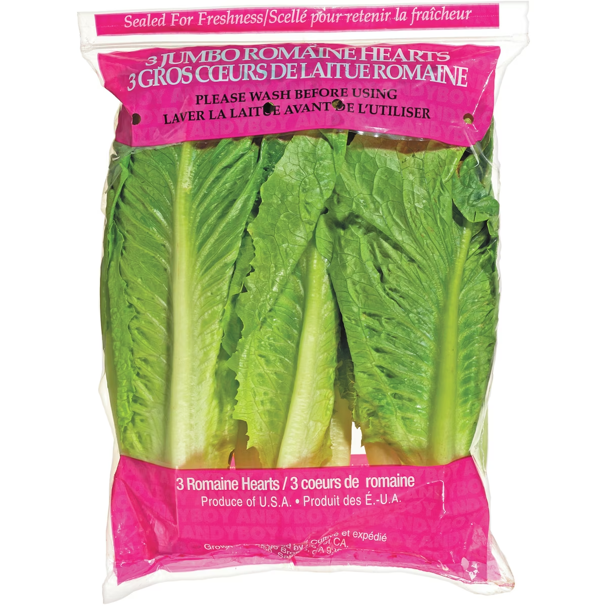 Romaine Hearts Premium Lettuce 3PC, 12 Count