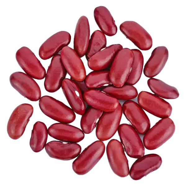 Red Kidney Beans (Rajma)
