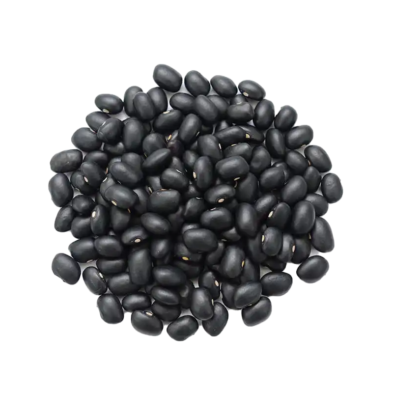 Black Turtle Beans