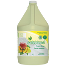Safeblend Hand & Body Soap (Foam, Mango Papaya Scent, with Aloe Vera), 4L