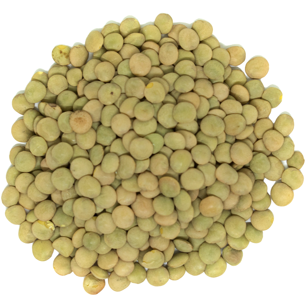 Green Laird Lentils 10kg