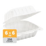 Aybak-61 Hinged PP Take-Out (6 x 6 x 3in), 250 Count