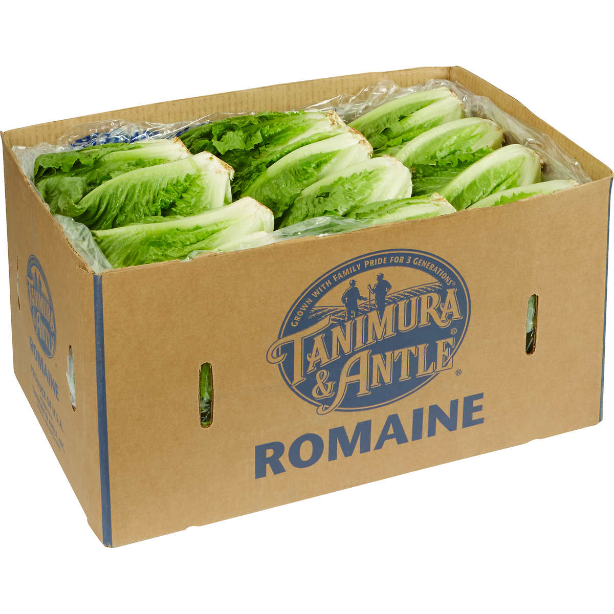 Romaine Economy Lettuce, Unwashed, 24 Count