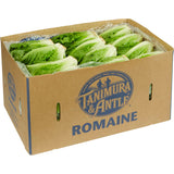 Romaine Economy Lettuce, Unwashed, 24 Count