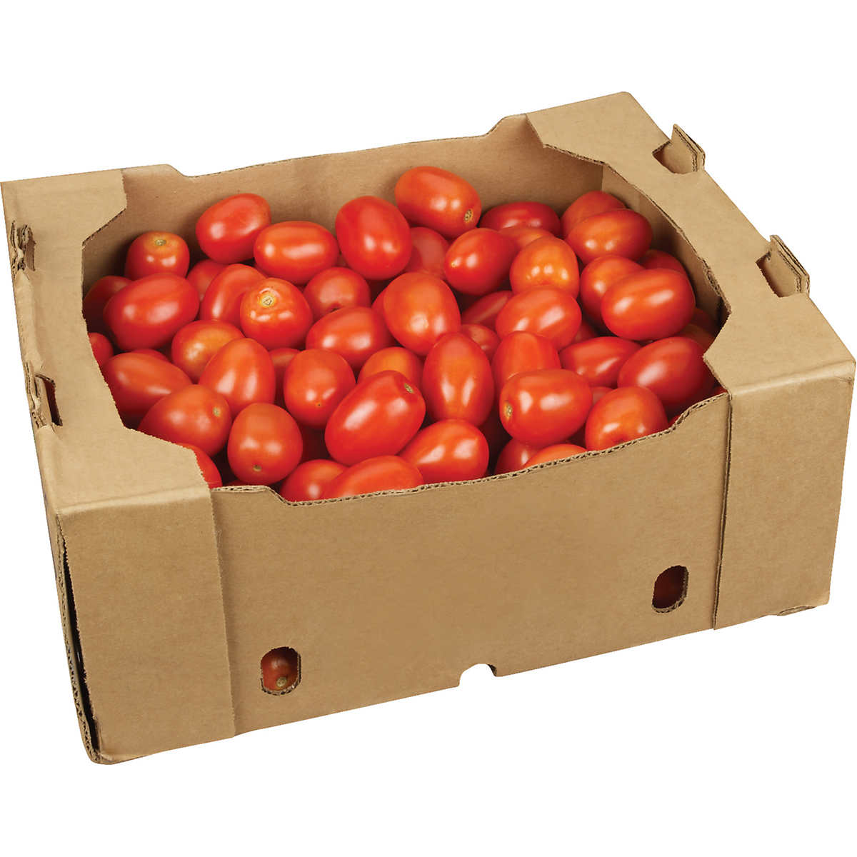 Tomato Roma [CASE], ~11kg
