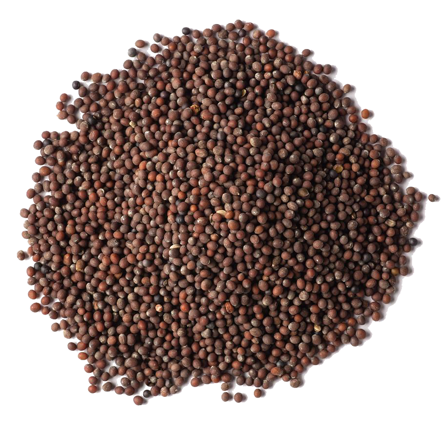 Mustard Seeds, 2.27kg