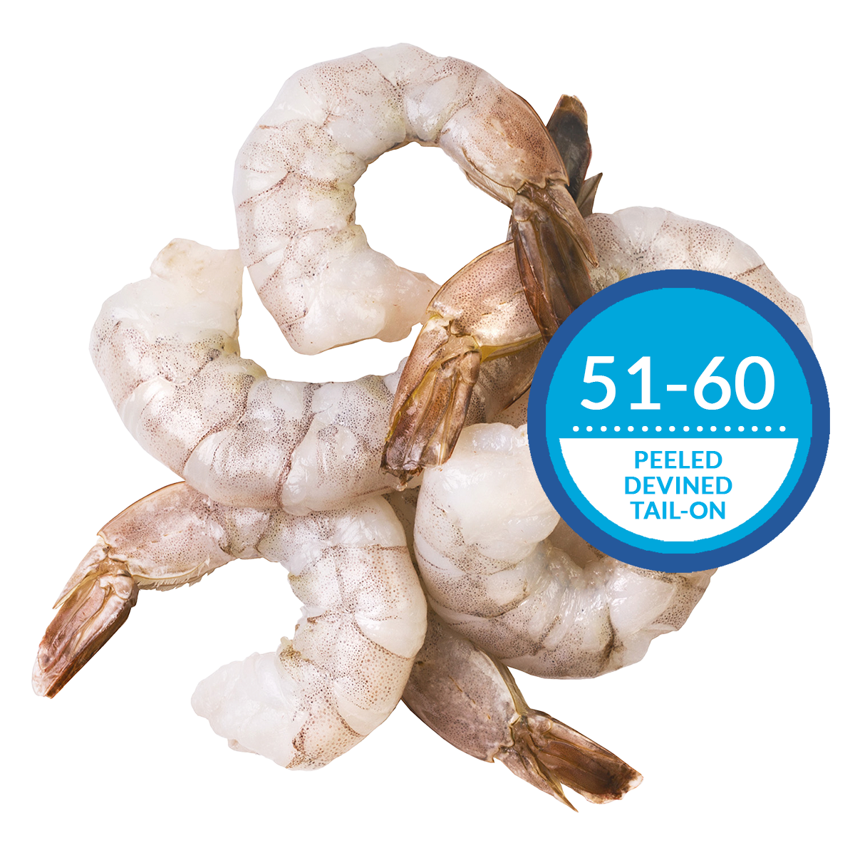 Ocean Jewel Pacific White Shrimp 51-60 Raw P&D Tail-On 4.54kg