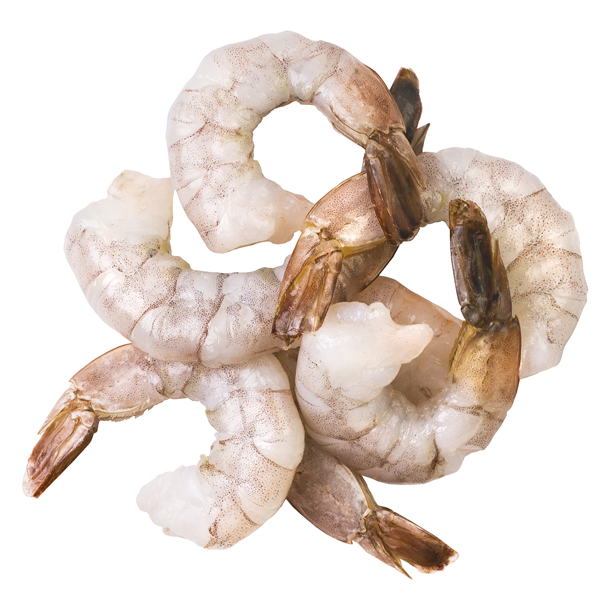 Ocean Jewel Pacific White Shrimp 51-60 Raw P&D Tail-On 4.54kg