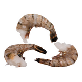 Ocean Jewel Black Tiger Shrimp 8-12 Raw P&D Tail-On 4.54kg