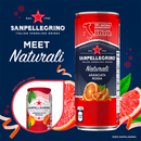 San Pellegrino Aranciata Rossa Cans 330mL, 24 Count