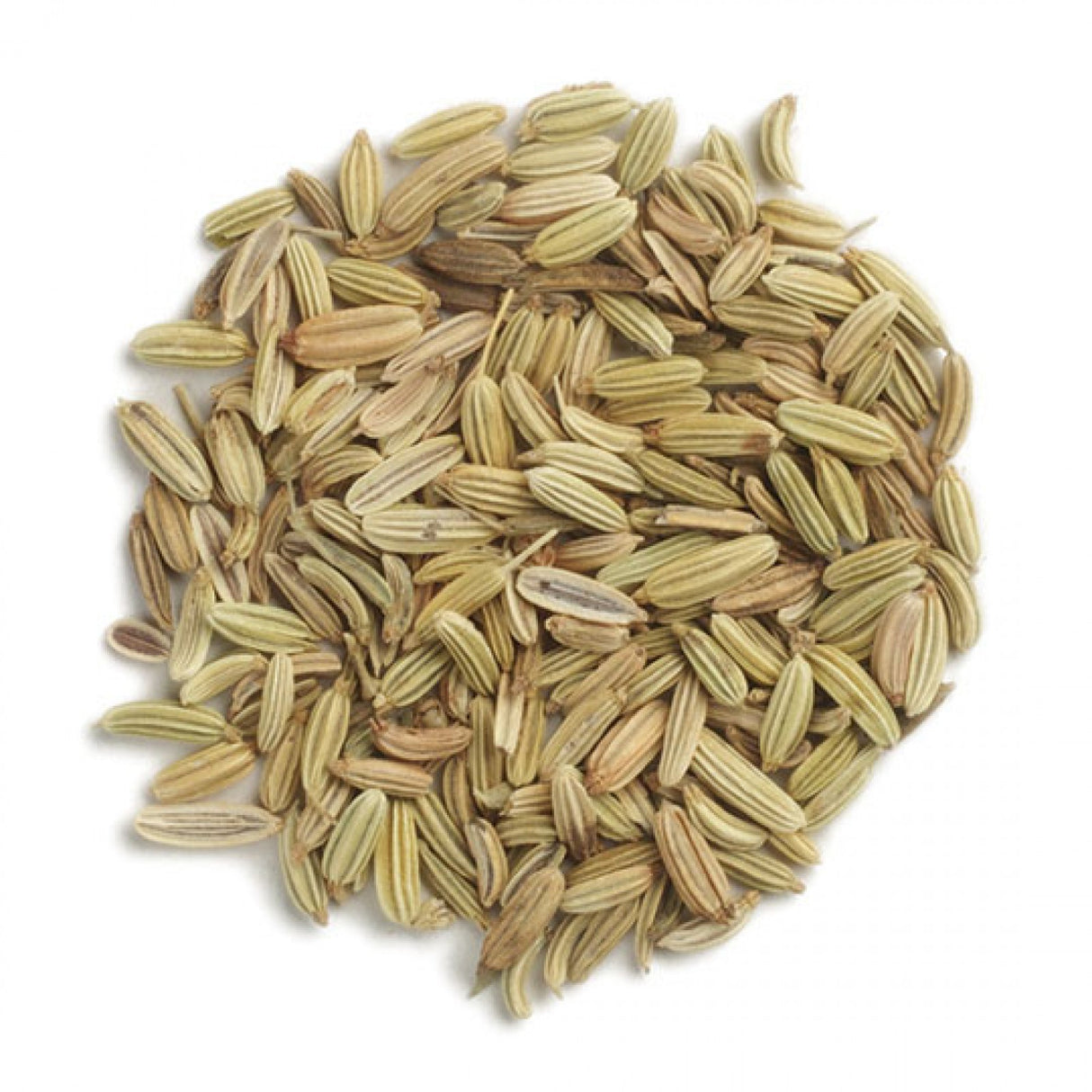 Fennel (Sonf) Seeds, 10lb/4.54kg