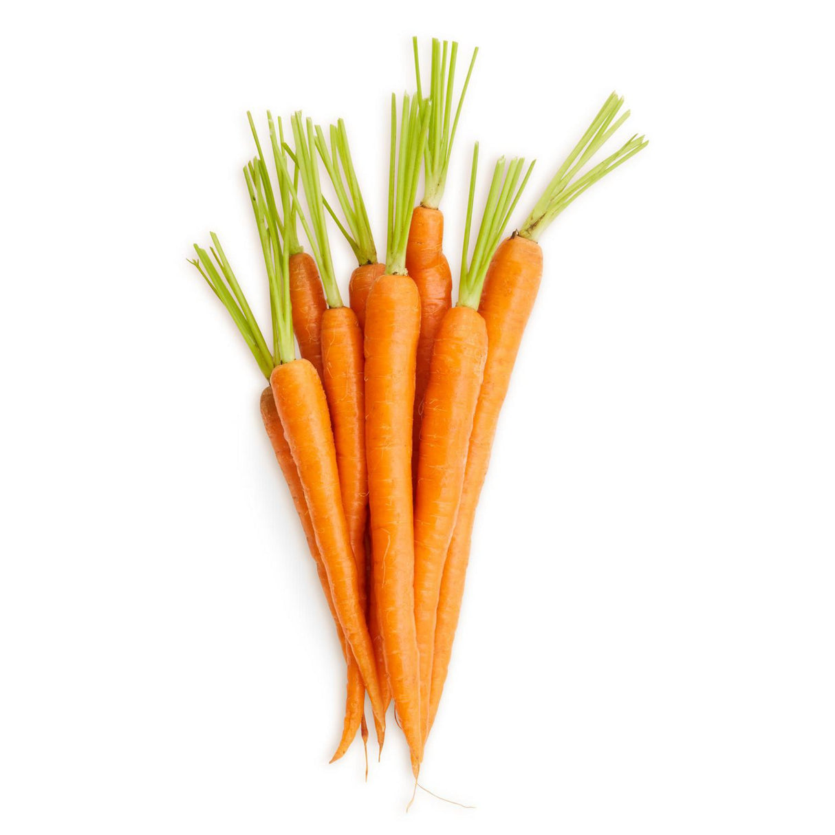 Jumbo Carrots, 50lb/22.7kg