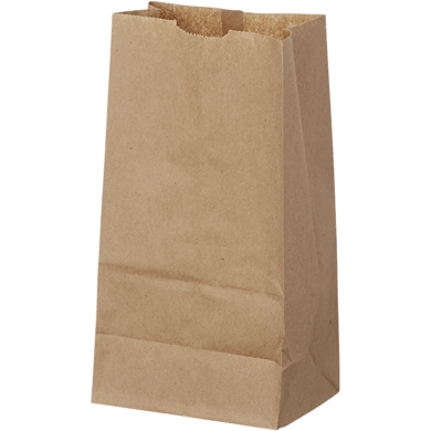 Kraft Paper Bags #3 - 500 Bundle