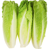 Romaine Economy Lettuce, Unwashed, 24 Count