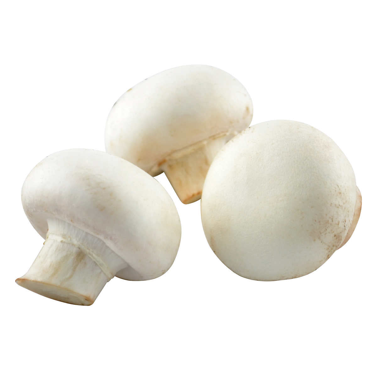 Mushrooms White Whole 2.27kg