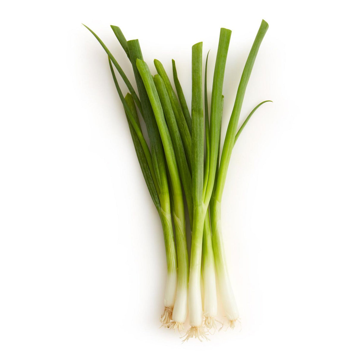 Onions Green (Scallions) [CASE] 48pk