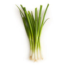 Onions Green (Scallions) [CASE] 48pk