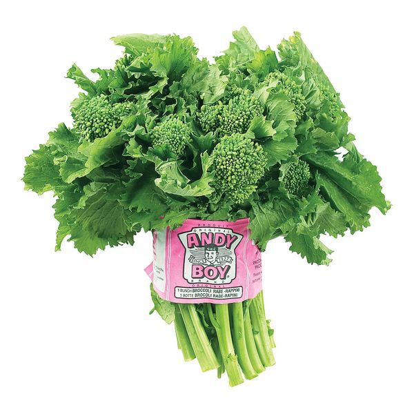 Rapini [CASE] 20/cs